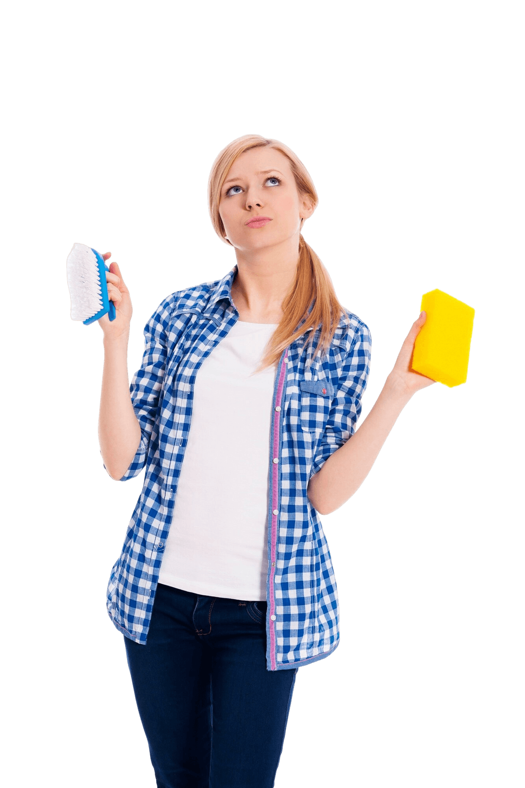 Professional cleaner