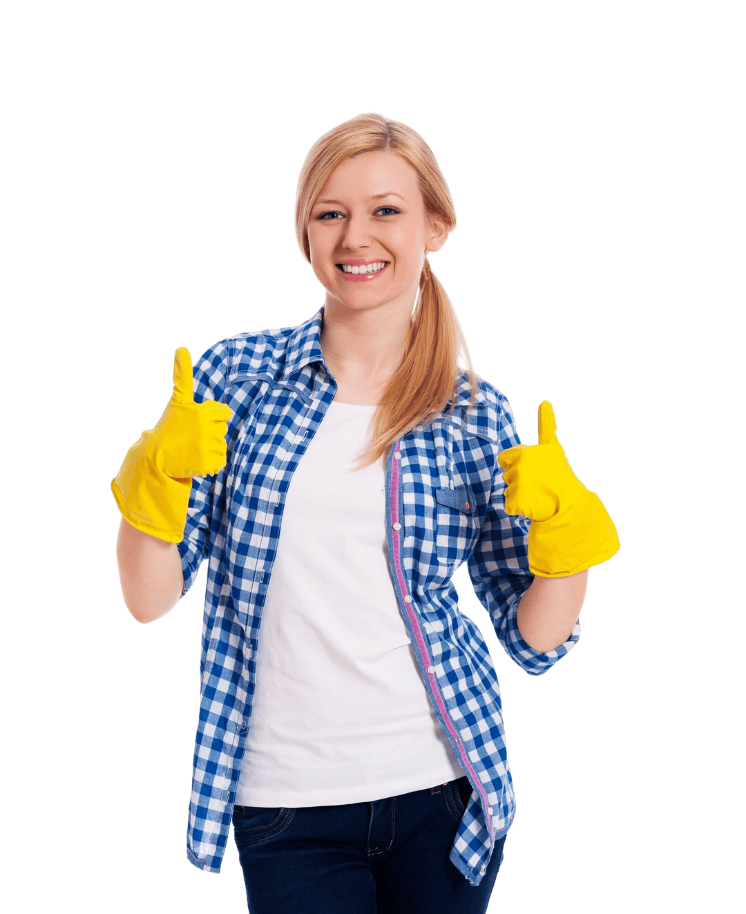 Professional cleaner